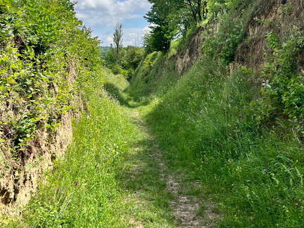 22-06-06 11-28-56 1059